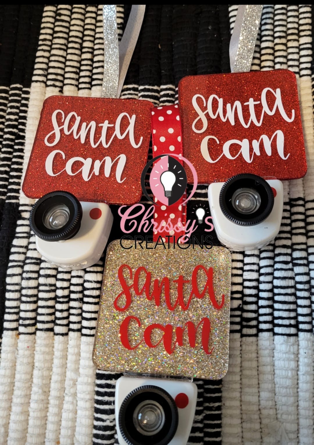 Santa Cam